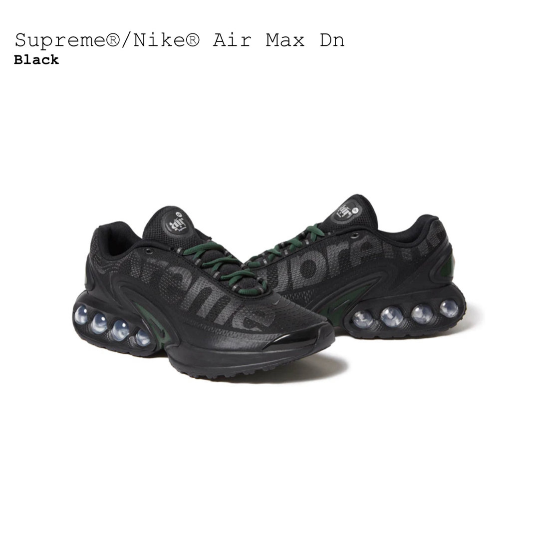 Supreme × Nike Air Max DN Black 29cmキムタク