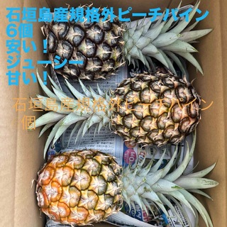 沖縄県石垣島産規格外ピーチパイン6個(フルーツ)