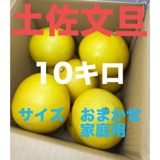 土佐文旦　家庭用　おまかせサイズ　10キロ(フルーツ)