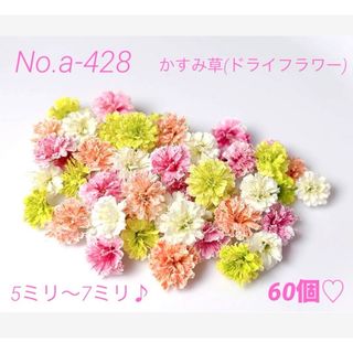 確認用ですNo.a-428かすみ草(ドライフラワー)♪5ミリ～7ミリ♪合計60個(ドライフラワー)