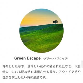  Green Escape グリーンエスケープ✳︎Prolitec✳︎30ml(アロマオイル)