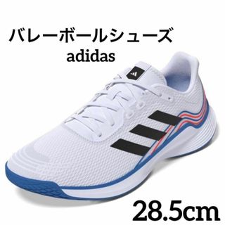 アディダス(adidas)の【訳あり❣️】アディダス バレーボールシューズ ノバブライト 28.5cm(バレーボール)