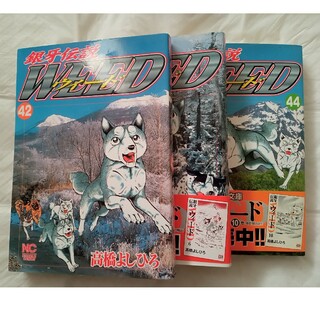 銀牙伝説　ウィード　WEED　42〜44巻　漫画　高橋よしひろ　まとめ売り(青年漫画)