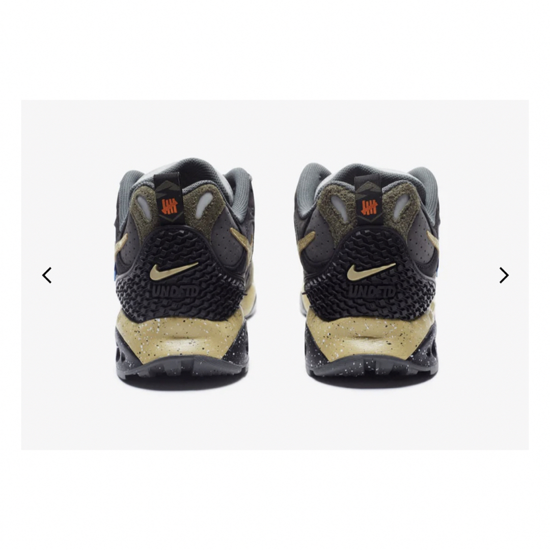 UNDEFEATED(アンディフィーテッド)のUNDEFEATED × Nike Air Terra Humara US 10 メンズの靴/シューズ(スニーカー)の商品写真