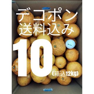 ！送料込み！デコポンちゃん10kg家庭用大中小MIX(フルーツ)