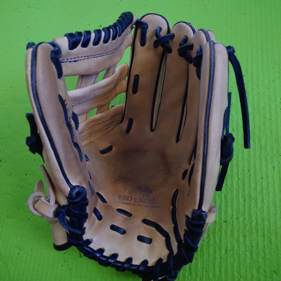 Rawlings軟式グローブ スポーツ/アウトドアの野球(グローブ)の商品写真