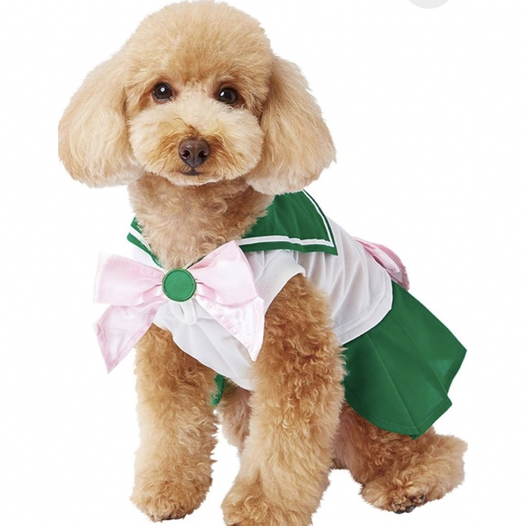 セーラームーン　なりきり　セーラージュピター　犬の服 エンタメ/ホビーのアニメグッズ(その他)の商品写真