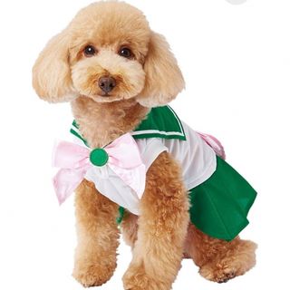 セーラームーン　なりきり　セーラージュピター　犬の服(その他)