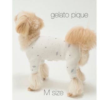 ジェラートピケ(gelato pique)のgelato pique ジェラピケ　スター柄ワッフルロンパース　M(犬)