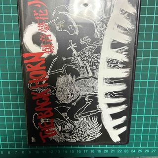 爆音夢花火 DVD(ミュージック)