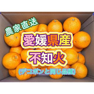 愛媛県産 不知火(デコポンと同じ品種) 【家庭消費向け】 5kg(箱込)(フルーツ)