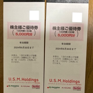 ユナイテッドスーパーマーケット USMH 株主優待券 10000円分(ショッピング)