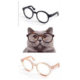 2個セット ペット用 メガネ 猫用 犬用 めがね 眼鏡 黒縁 茶色 サングラス(犬)