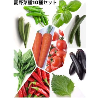 野菜セットO(その他)