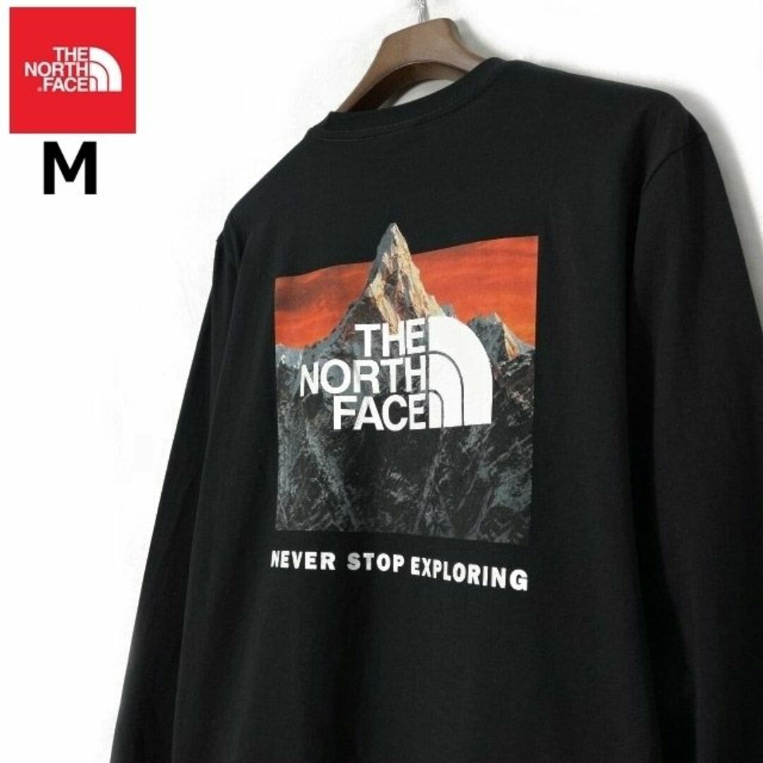 THE NORTH FACE(ザノースフェイス)のノースフェイス 長袖 Tシャツ US限定 コットン (M)黒 180902 メンズのトップス(Tシャツ/カットソー(七分/長袖))の商品写真