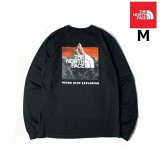 ザノースフェイス(THE NORTH FACE)のノースフェイス 長袖 Tシャツ US限定 コットン (M)黒 180902(Tシャツ/カットソー(七分/長袖))