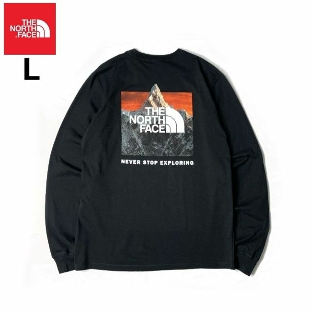 THE NORTH FACE(ザノースフェイス)のノースフェイス 長袖 Tシャツ US限定 コットン (L)黒 180902 メンズのトップス(Tシャツ/カットソー(七分/長袖))の商品写真