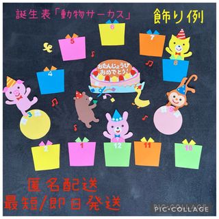 【匿名配送】誕生表「どうぶつサーカス」新年度　保育所　幼稚園　壁面飾り　装飾(その他)