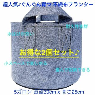 不織布プランター 5ガロン 植木鉢 10号 栽培袋 フェルト グレー x 2個(プランター)