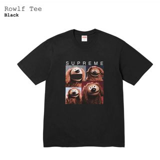 11AW シュプリーム supreme ビギー biggie Lサイズ Tシャツ