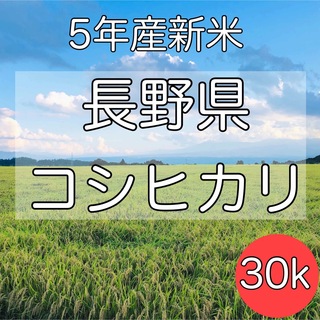 【令和5年産】長野県コシヒカリ30キロ白米