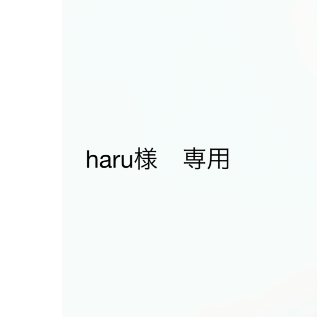 haru様　専用 その他のその他(その他)の商品写真