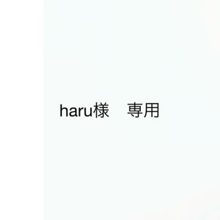 haru様　専用(その他)