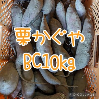 栗かぐやBC10kg(野菜)