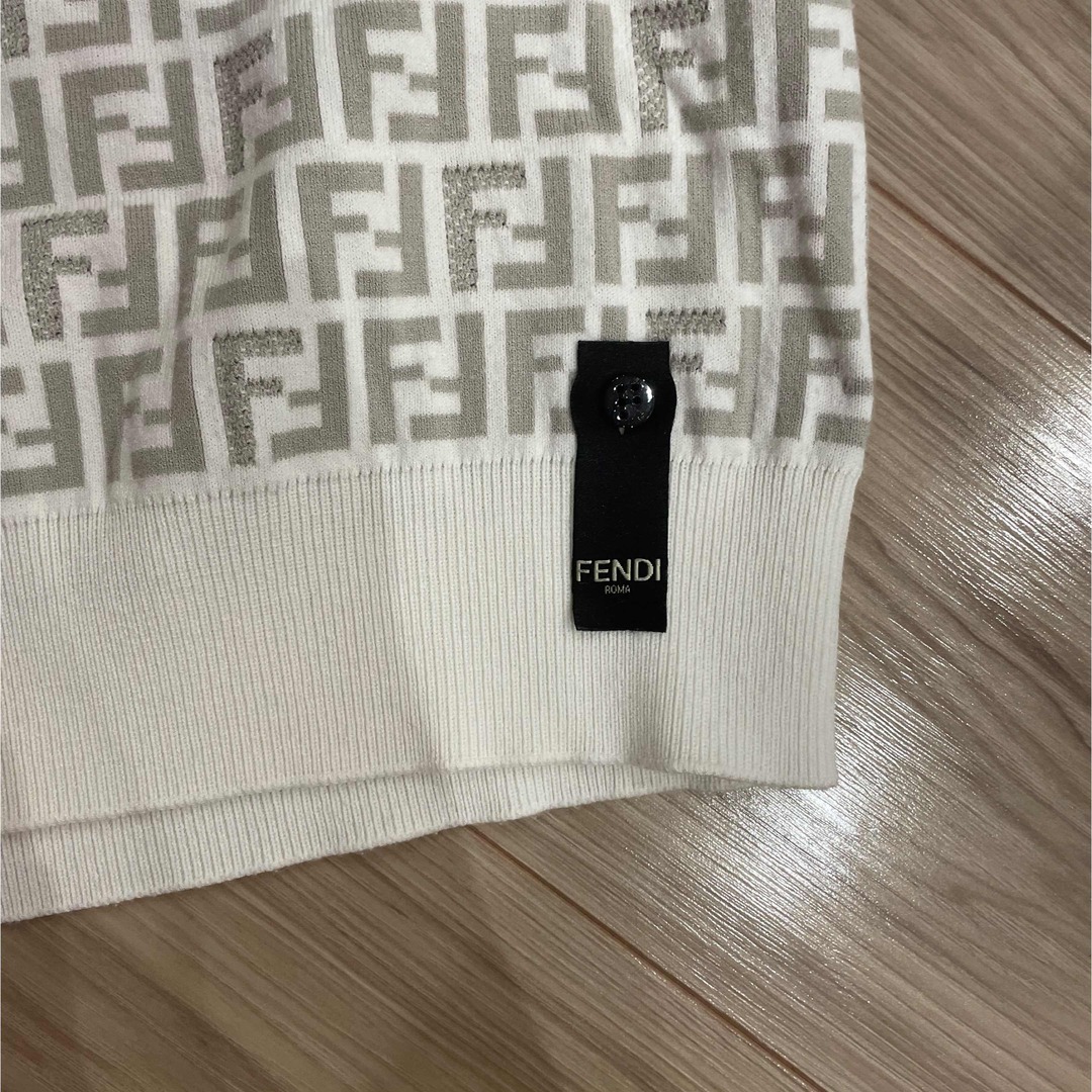 FENDI(フェンディ)のフェンディ　メンズニット メンズのトップス(Tシャツ/カットソー(半袖/袖なし))の商品写真