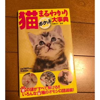 ガッケン(学研)の猫まるわかりポケット大事典 猫の謎がすべて解ける！！いろんな猫種のオモシロ話満(住まい/暮らし/子育て)