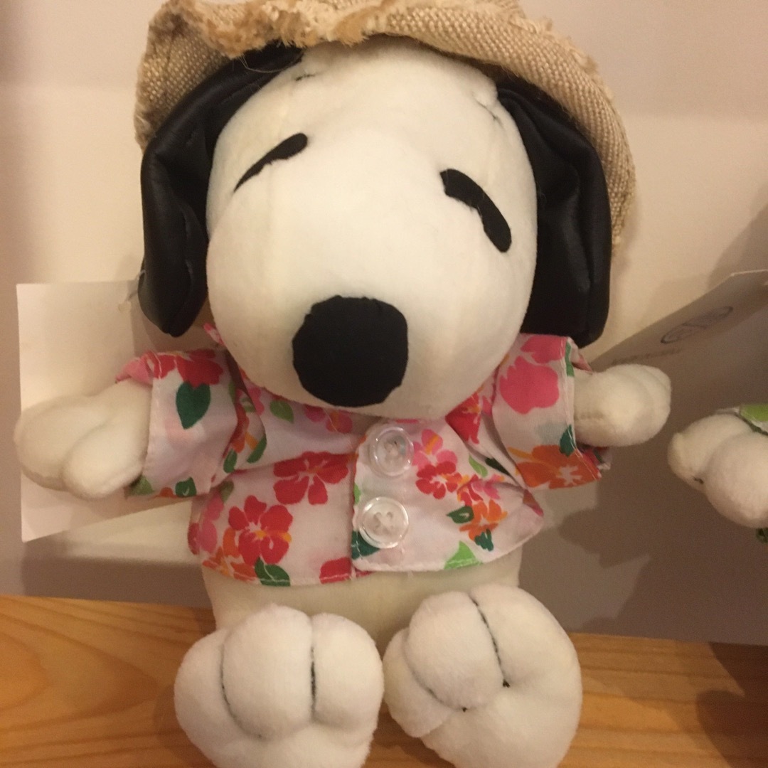 SNOOPY(スヌーピー)のスヌーピー  アロハ　ぬいぐるみ　２個 エンタメ/ホビーのおもちゃ/ぬいぐるみ(キャラクターグッズ)の商品写真