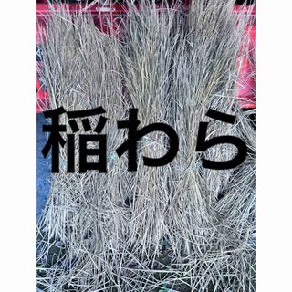 稲藁 藁束　家庭菜園などにいかがでしょうか？（無農薬朝日米の）6束(その他)