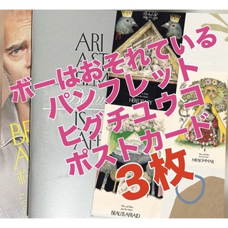 ヒグチユウコ(ヒグチユウコ)のボーはおそれている パンフレット ポストカード３枚 ヒグチユウコ フライヤー(印刷物)