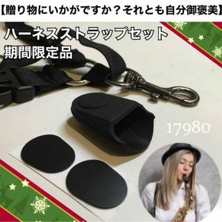 【安41】限定2セット　ハーネスストラップ　キャップ　パッチ(サックス)