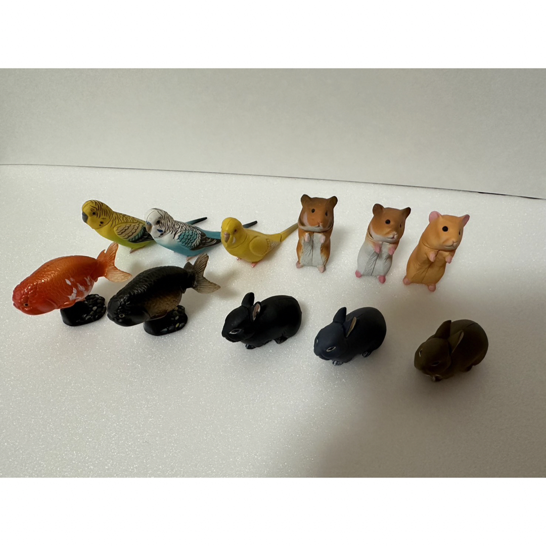 チョコエッグ ペット動物コレクション 第1弾 全35種類 組立済 チョコエッグ ペット動物コレクション 第1弾 全35種類 組立済