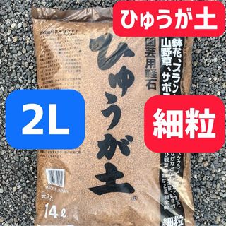 ひゅうが土 細粒 2L 日向土 観葉植物 コーデックス 多肉植物 サボテン(その他)