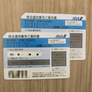 ANA  全日空　株主優待 チケット　2枚(その他)