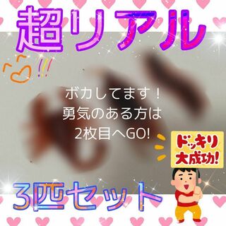 新商品✦本物そっくり✦虫3匹セット✦ムカデ・ゴキブリ・サソリ小道具恐怖→大爆笑(その他)