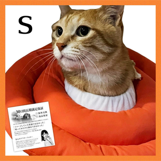 エリザベスカラー 子猫 子犬 ソフト 引っ掻き防止 オレンジ S(猫)