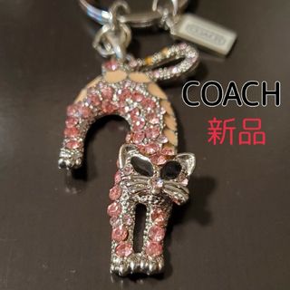 COACH - Sale! COACH 人気 チェリー🍒バッグチャームの通販 by Jayanes