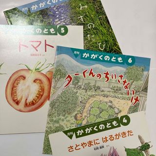 フクインカンショテン(福音館書店)のかがくのとも4冊セット　4568(絵本/児童書)