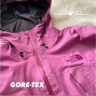 ザノースフェイス(THE NORTH FACE)のTHE NORTH FACE ゴアテックス(登山用品)