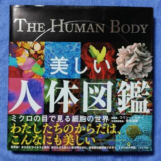 美しい人体図鑑【コリン・サルター】(科学/技術)