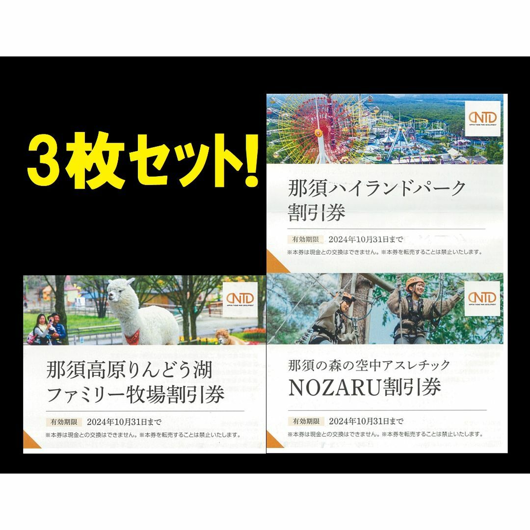 ◆3枚 那須ハイランドパーク 那須高原りんどう湖ファミリー牧場　割引券 チケットの施設利用券(遊園地/テーマパーク)の商品写真