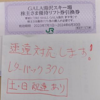 ジェイアール(JR)のJR東日本優待券のガーラ湯沢スキー場リフト20%割引券10枚（速達郵便）(スキー場)