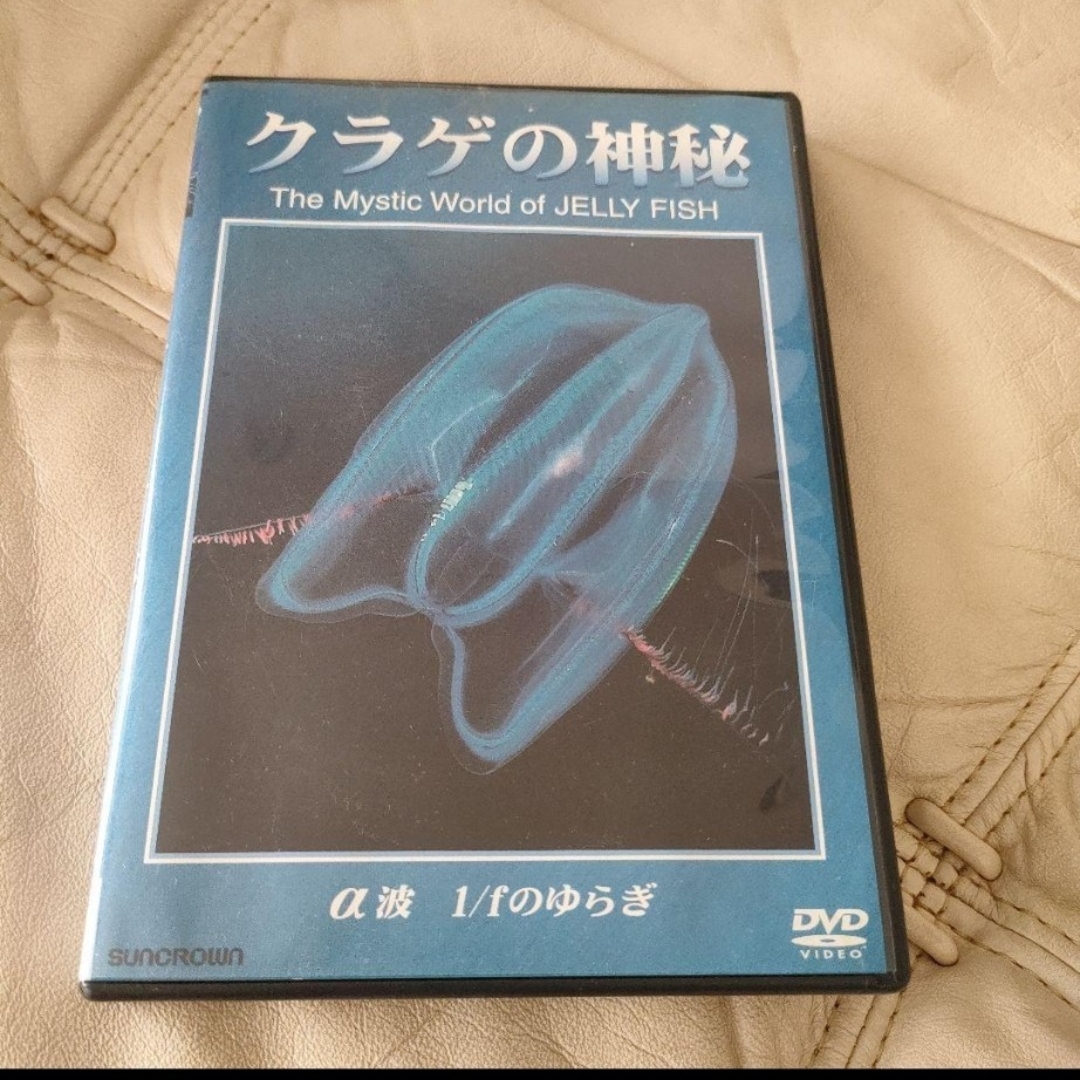 クラゲの神秘 DVD　α波 1/fのゆらぎ エンタメ/ホビーのDVD/ブルーレイ(趣味/実用)の商品写真