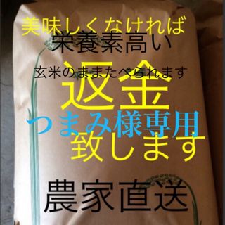 つまみ様専用　無農薬　純こしひかり30㎏ 玄米10㎏ 精米(米/穀物)