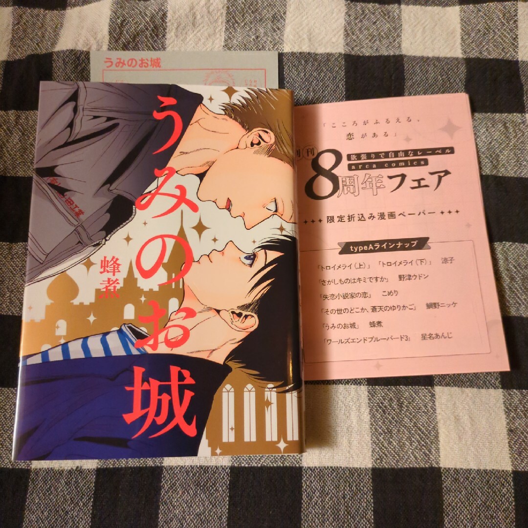 うみのお城、arca8周年フェア限定折込み漫画ペーパー type A付き エンタメ/ホビーの漫画(ボーイズラブ(BL))の商品写真