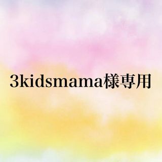 3kidsmama様専用(その他)