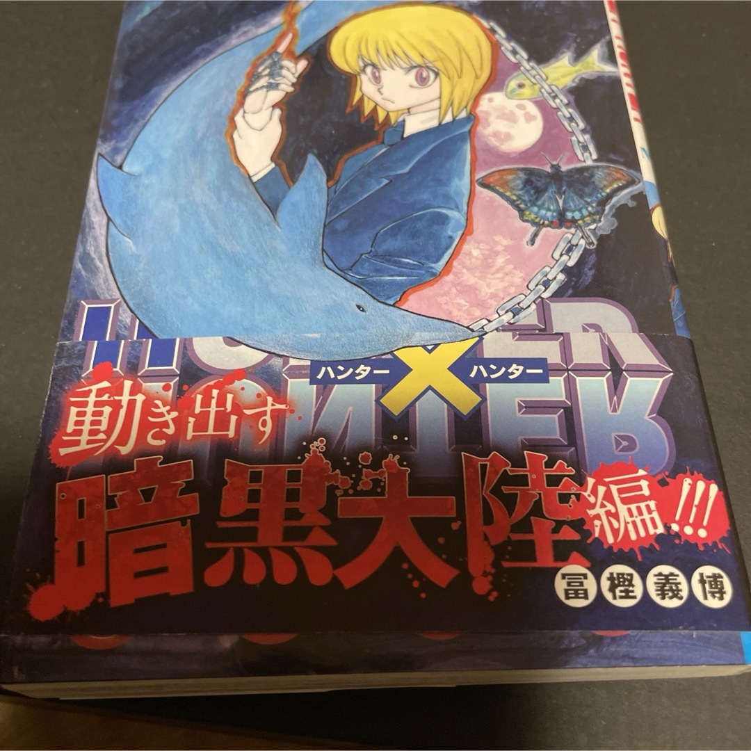 集英社(シュウエイシャ)のＨＵＮＴＥＲ×ＨＵＮＴＥＲ　33 エンタメ/ホビーの漫画(その他)の商品写真